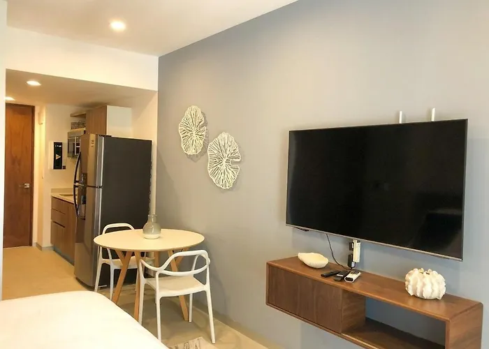 Deluxe Aparment Mamitas Zone Apartment *